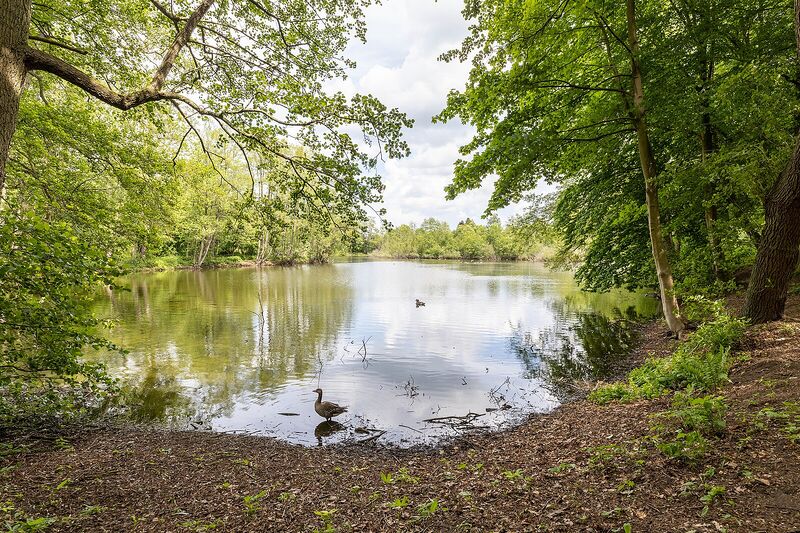 Datei:Thorsberger Moor -msu-7695-.jpeg